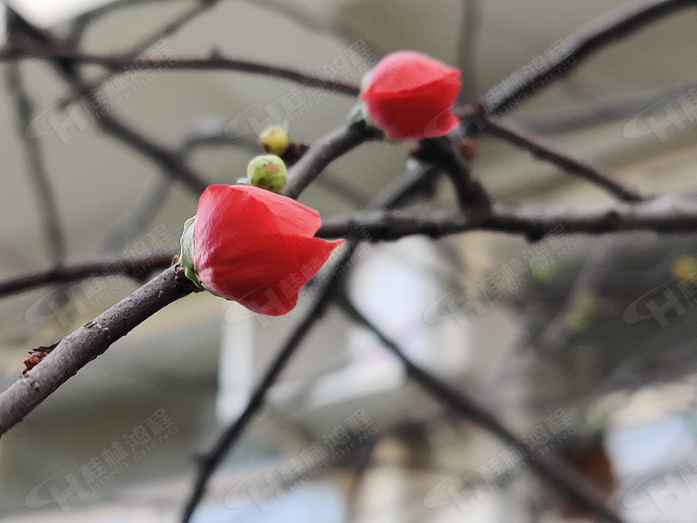 桂林鴻程花團錦簇，滿園春色，邀您一起共賞春景，共商大計！